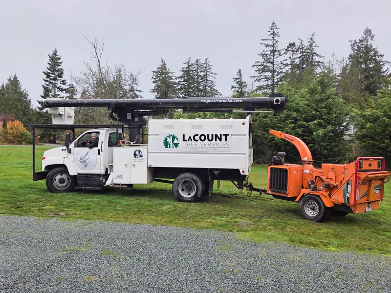 Completed stump removal by LaCount Tree Services, Skagit County, WA